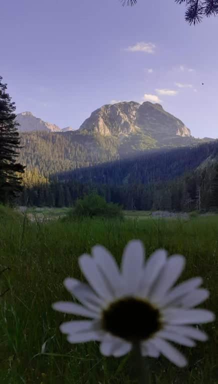 Rooms Apartment Durmitor Žabljak Dış mekan fotoğraf