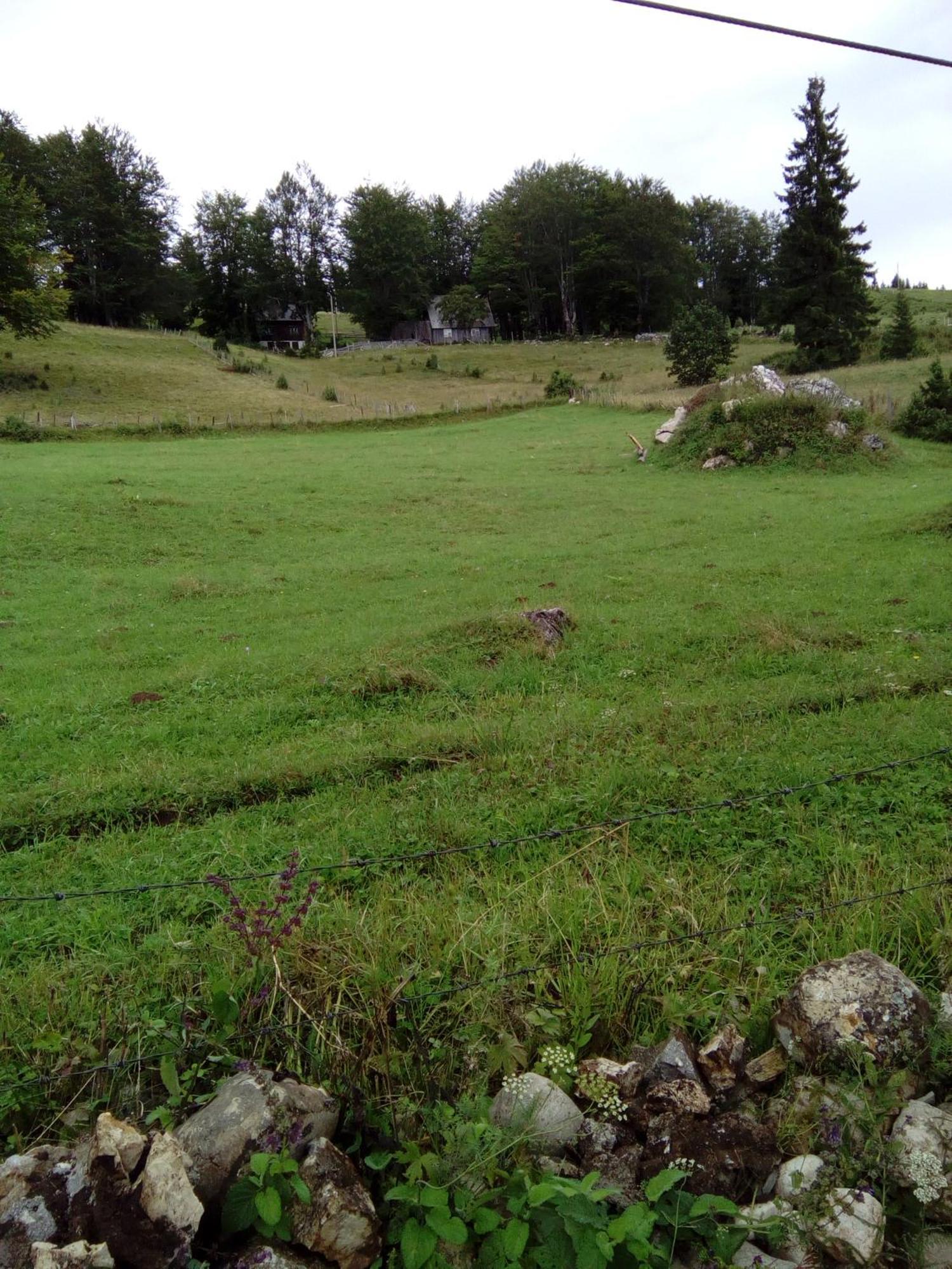 Rooms Apartment Durmitor Žabljak Dış mekan fotoğraf