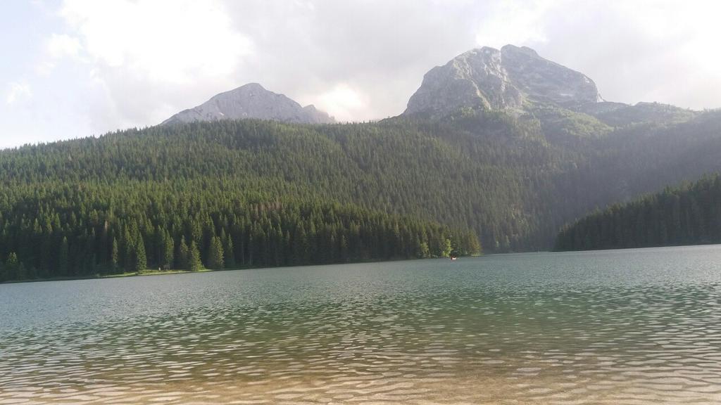 Rooms Apartment Durmitor Žabljak Dış mekan fotoğraf