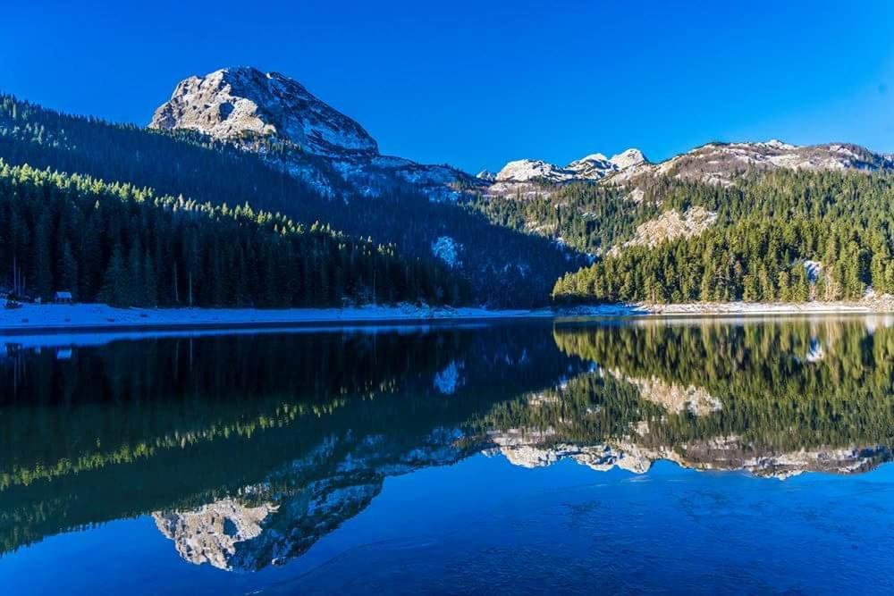 Rooms Apartment Durmitor Žabljak Dış mekan fotoğraf