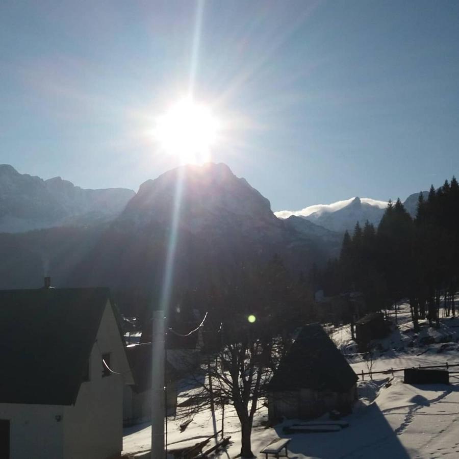 Rooms Apartment Durmitor Žabljak Dış mekan fotoğraf